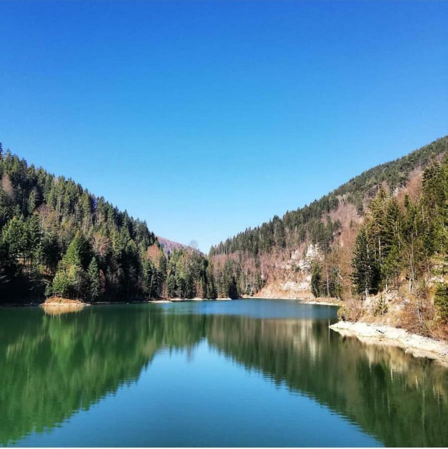Apartmani Terase Konjska Reka 外观 照片